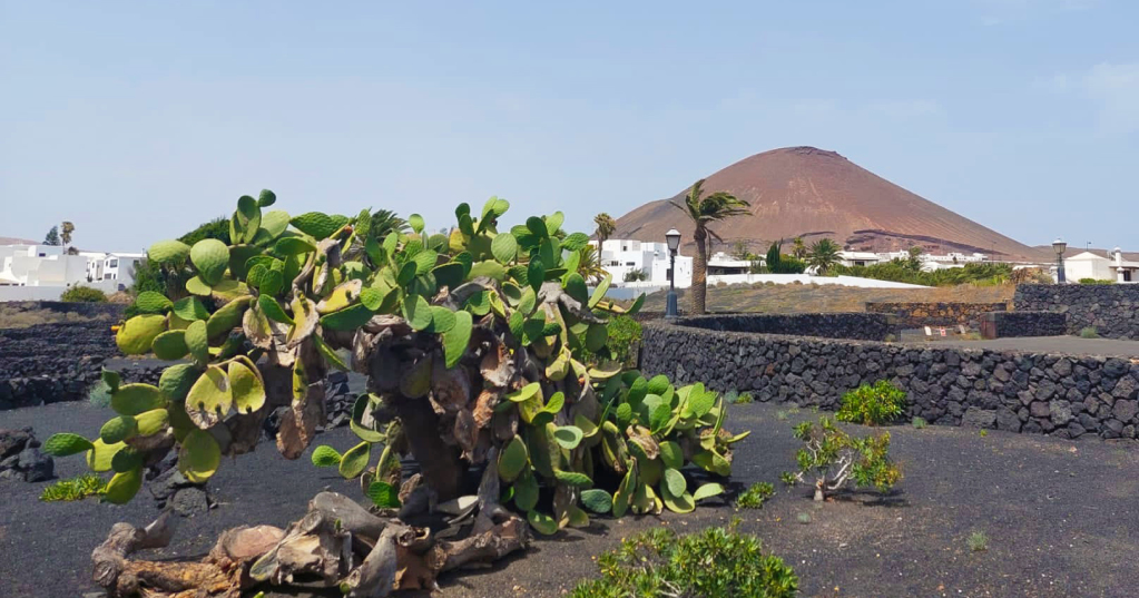 lanzarote: la terra dei 30 vulcani